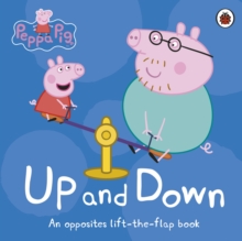 Image for Up and down  : an opposites lift-the-flap book