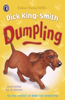 Image for Dumpling