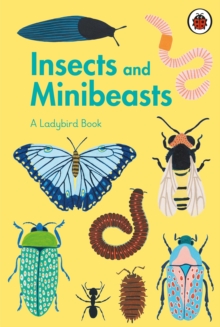 Image for Insects and minibeasts