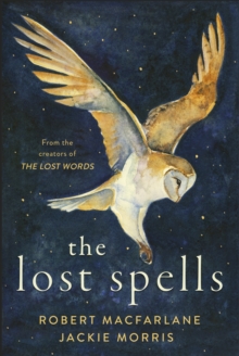 Image for The lost spells