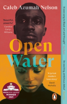 Cover for: Open Water