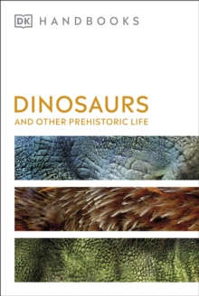 Image for Dinosaurs and Other Prehistoric Life