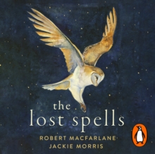 Image for The Lost Spells