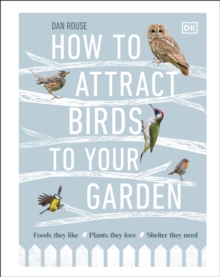 Image for How to attract birds to your garden: make your garden a haven for birds