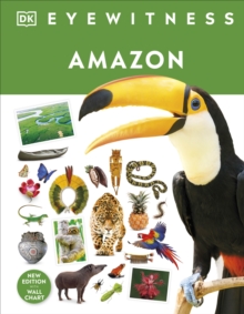 Image for Amazon