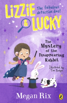 Image for The Mystery of the Disappearing Rabbit