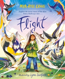 Flight: Explore the secret routes of the skies from a bird’s-eye view…