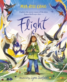 Image for Flight: Explore the Secret Routes of the Skies from a Bird's-Eye View