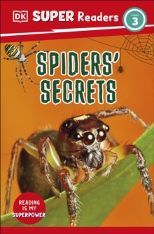 DK Super Readers Level 3 Spiders’ Secrets