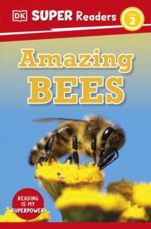 Image for DK Super Readers Level 2 Amazing Bees