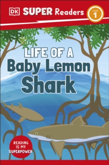 Image for DK Super Readers Level 1 Life of a Baby Lemon Shark