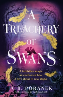 Image for A Treachery of Swans