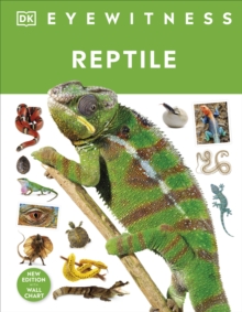 Image for Reptile