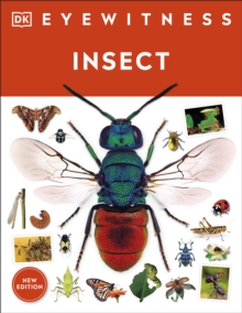 Image for Insect