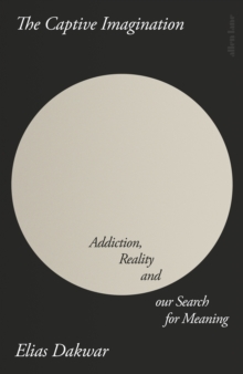 Image for The captive imagination  : addiction, reality and our search for meaning