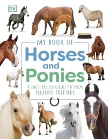 Image for My book of horses and ponies