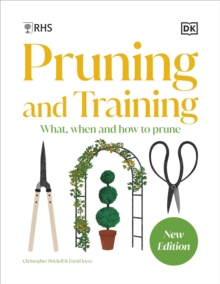 Image for RHS Pruning and Training