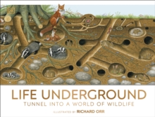 Image for Life underground: tunnel into a world of wildlife