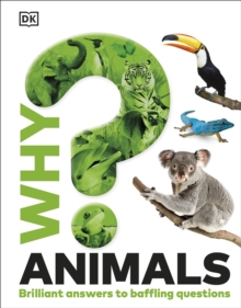 Why? Animals