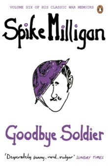 Image for Goodbye soldier