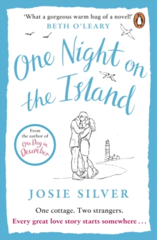 One Night on the Island: Escape to a remote island with this chemistry-filled love story