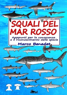 Image for Squali del Mar Rosso