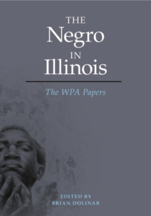Image for The Negro in Illinois