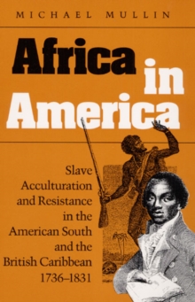 Image for Africa in America