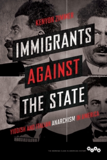 Image for Immigrants against the state  : Yiddish and Italian anarchism in America