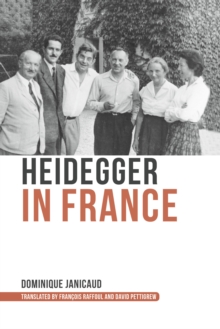 Image for Heidegger in France