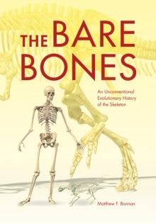 Image for The bare bones  : an unconventional evolutionary history of the skeleton