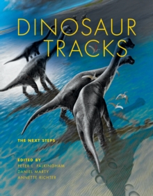 Image for Dinosaur Tracks