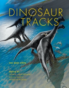 Image for Dinosaur Tracks: The Next Steps
