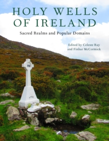 Image for Holy wells of Ireland  : sacred realms and popular domains