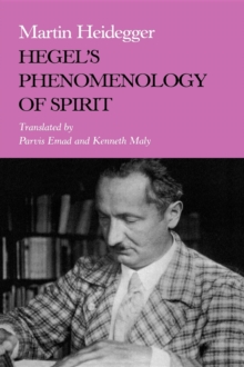 Image for Hegel's Phenomenology of Spirit