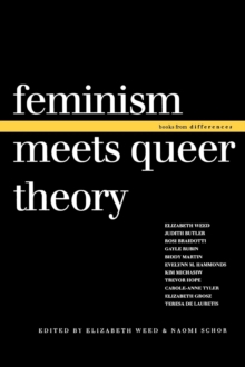Image for Feminism Meets Queer Theory