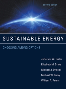 Image for Sustainable energy  : choosing among options