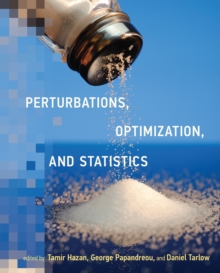 Image for Perturbations, Optimization, and Statistics