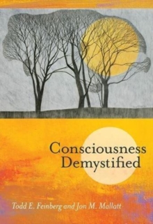 Image for Consciousness Demystified