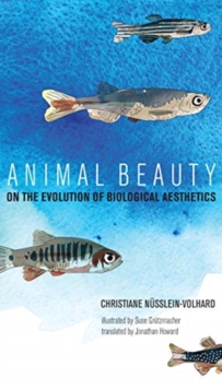 Image for Animal beauty  : on the evolution of biological aesthetics