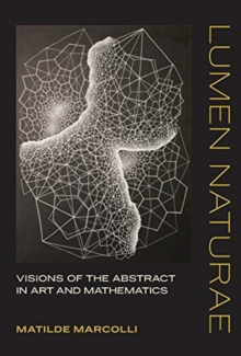 Image for Lumen Naturae : Visions of the Abstract in Art and Mathematics