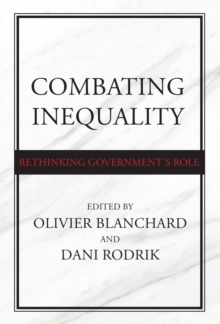Image for Combating inequality  : rethinking government's role