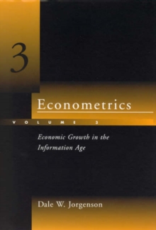 Image for EconometricsVolume 3,: Economic growth in the information age