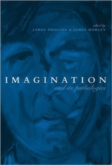 Image for Imagination and Its Pathologies