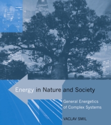 Image for Energy in Nature and Society - General Energetics of Complex Systems