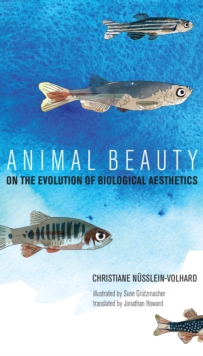 Image for Animal beauty: on the evolution of biological aesthetics