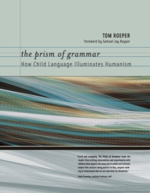 Prism of Grammar