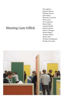 Image for Meaning Liam Gillick