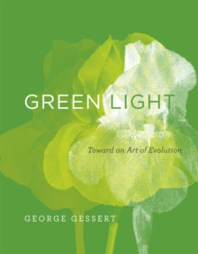 Green Light