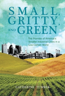 Image for Small, gritty, and green  : the promise of America's smaller industrial cities in a low-carbon world